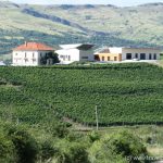 Wine Area Dealu Mare - Zona viticola Dealu Mare