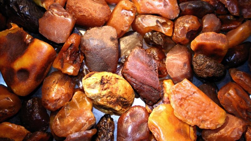 Amber of Colți