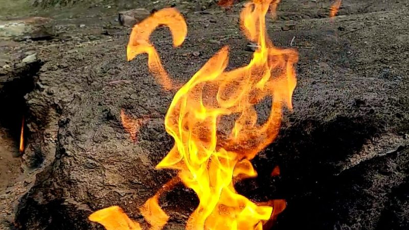 Living Fire